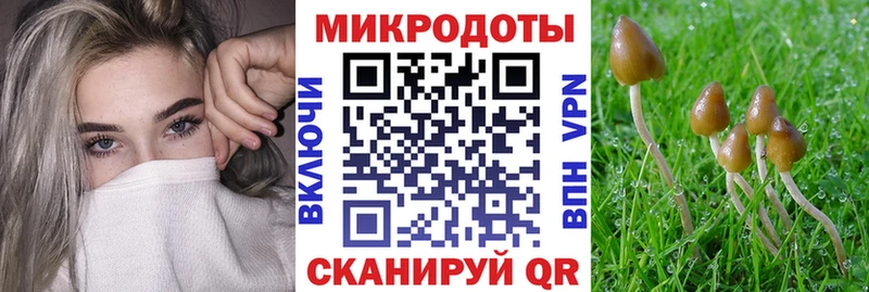 кракен как войти  Белая Калитва  Галлюциногенные грибы Magic Shrooms 